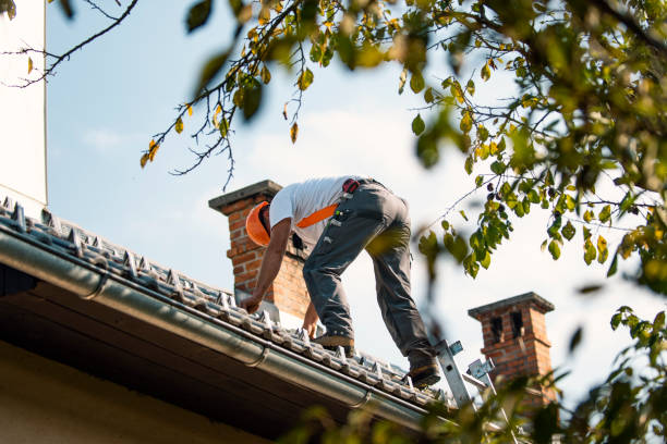 Best Commercial Roof Installation  in Estherville, IA