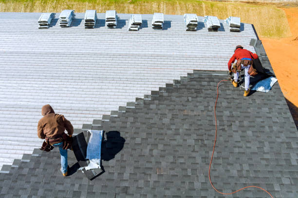 Best Storm Damage Roof Repair  in Estherville, IA