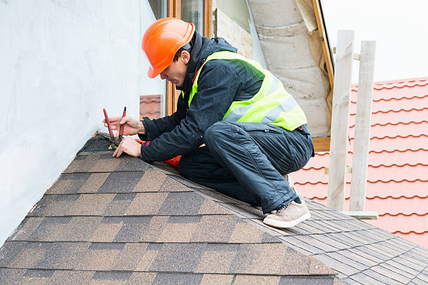 Best Roof Gutter Cleaning  in Estherville, IA