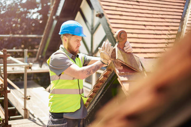 Best Storm Damage Roof Repair  in Estherville, IA