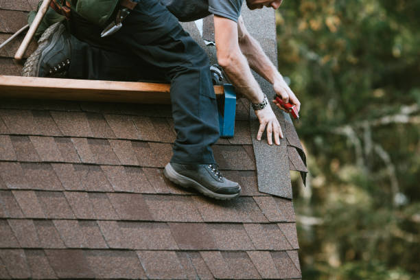 Roof Gutter Cleaning in Estherville, IA